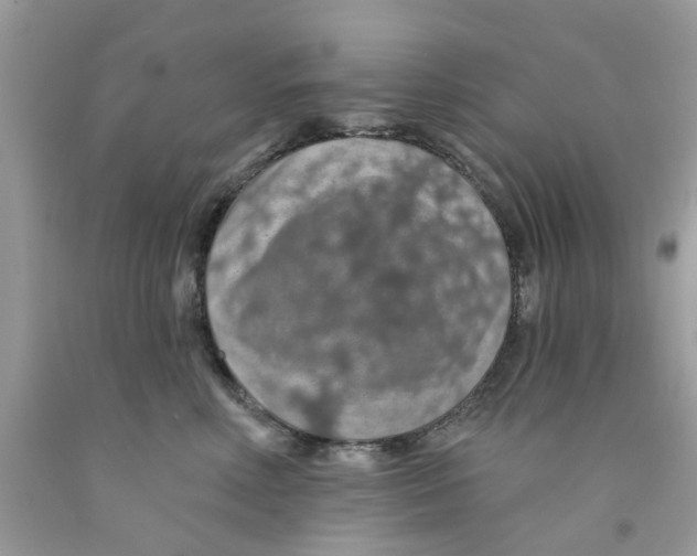 X0000091530618200709141436