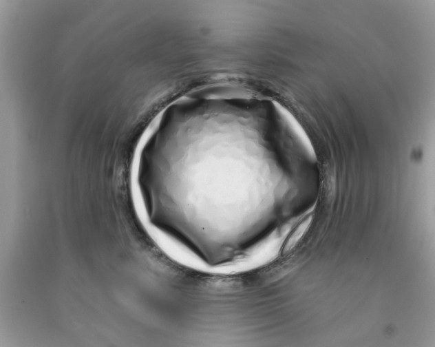 X0000091530619200709141436