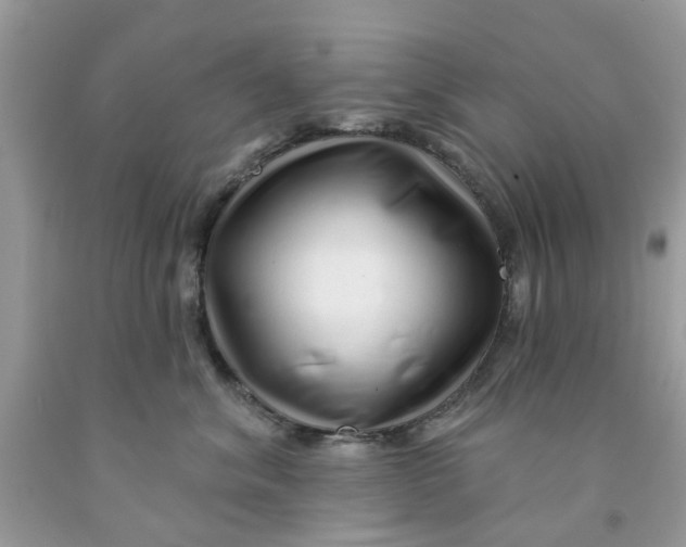 X0000091530620200709141436