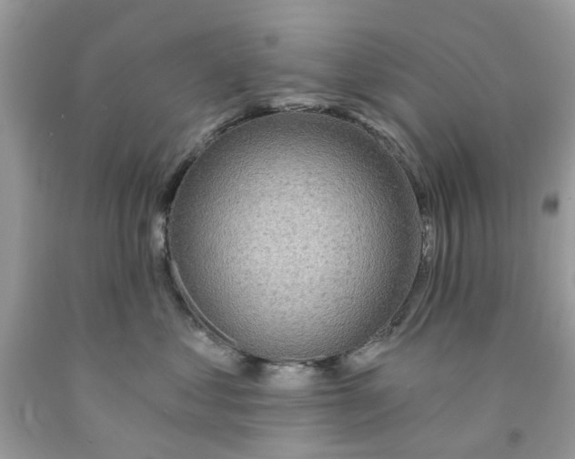 X0000091530621200709141436