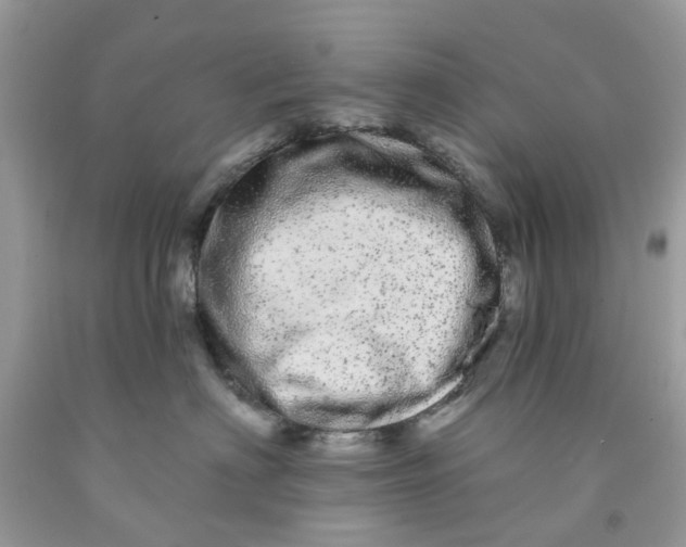 X0000091530622200709141436