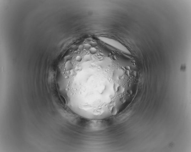 X0000091530623200709141436