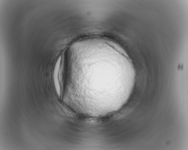 X0000091530624200709141436