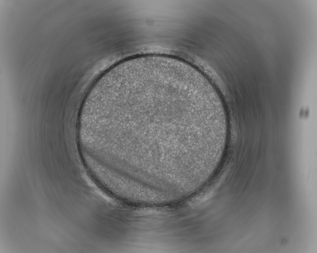 X0000091530625200709141436
