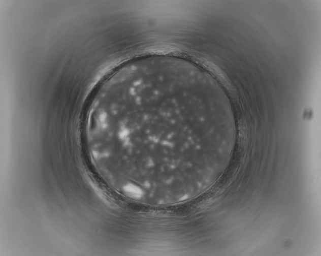 X0000091530626200709141436