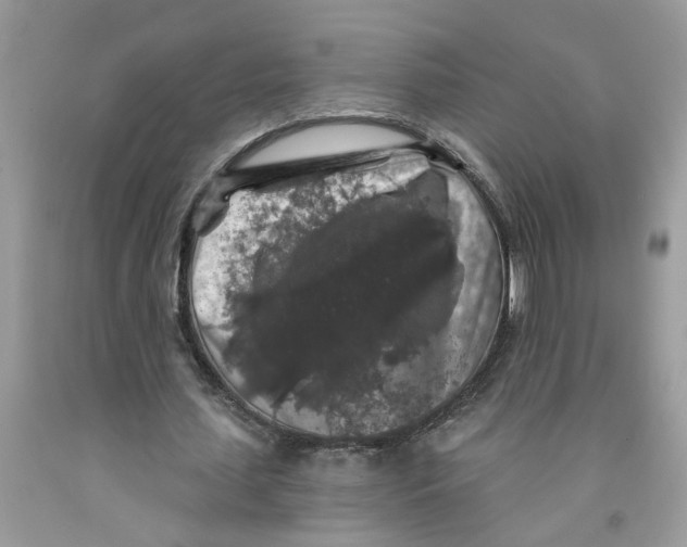 X0000091530627200709141436