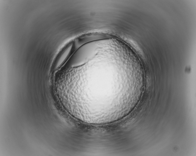 X0000091530628200709141436