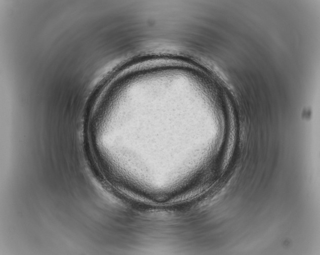 X0000091530629200709141436