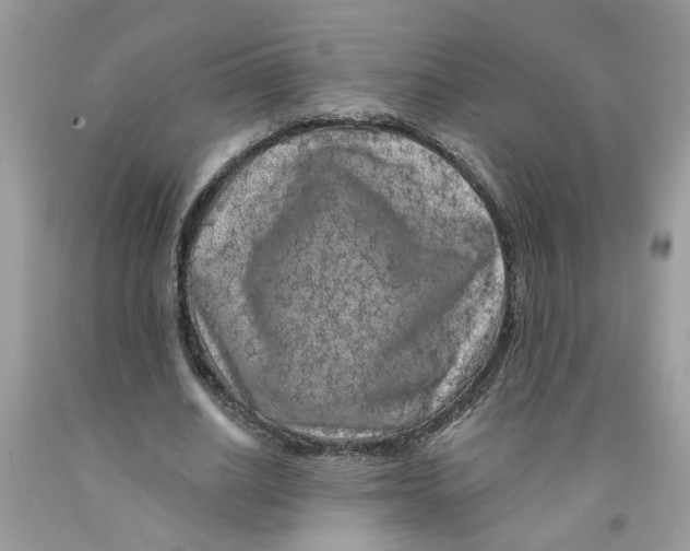 X0000091530630200709141436