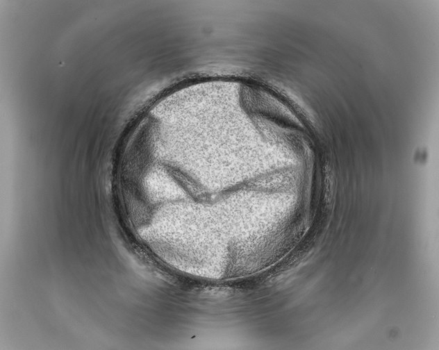 X0000091530631200709141436