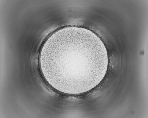 X0000091530632200709141436