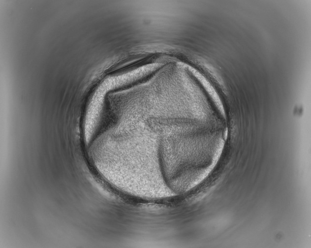 X0000091530633200709141436