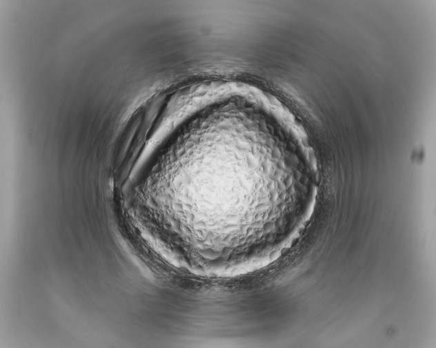 X0000091530634200709141436