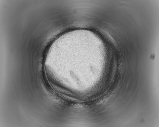 X0000091530635200709141436