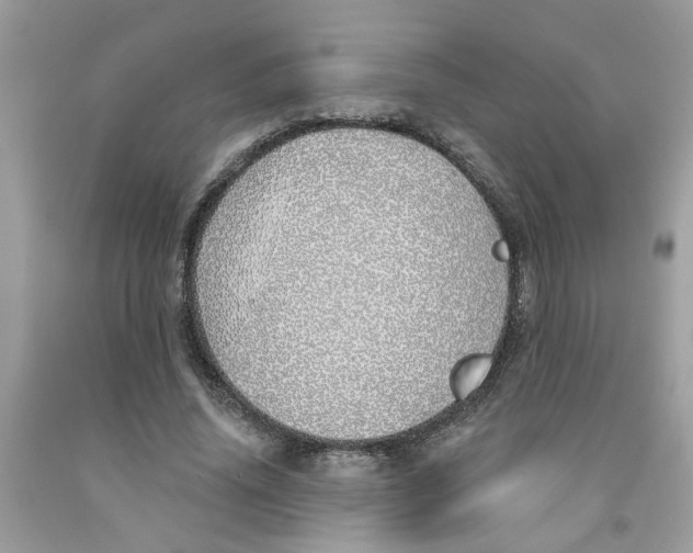 X0000091530636200709141436