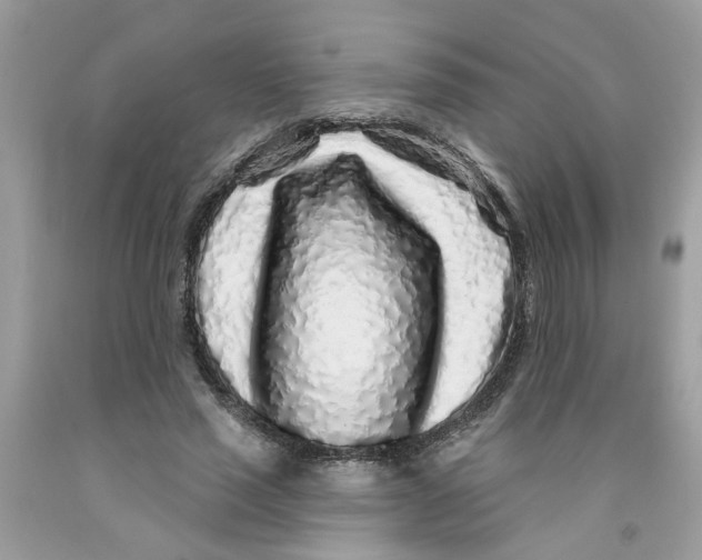 X0000091530637200709141436