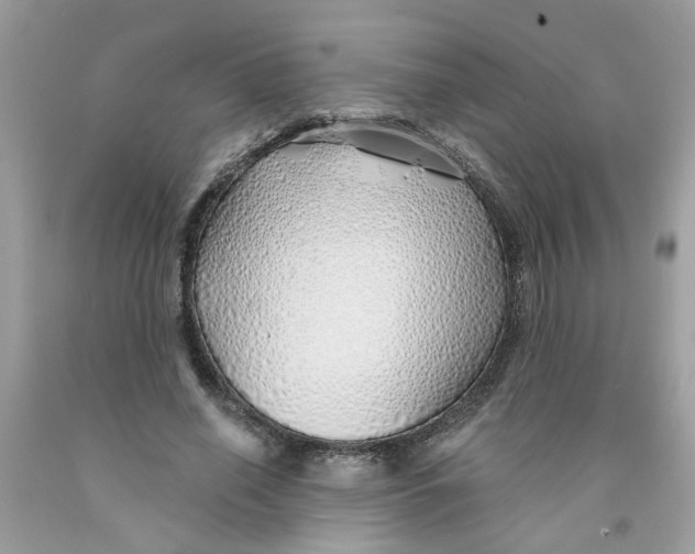 X0000091530638200709141436