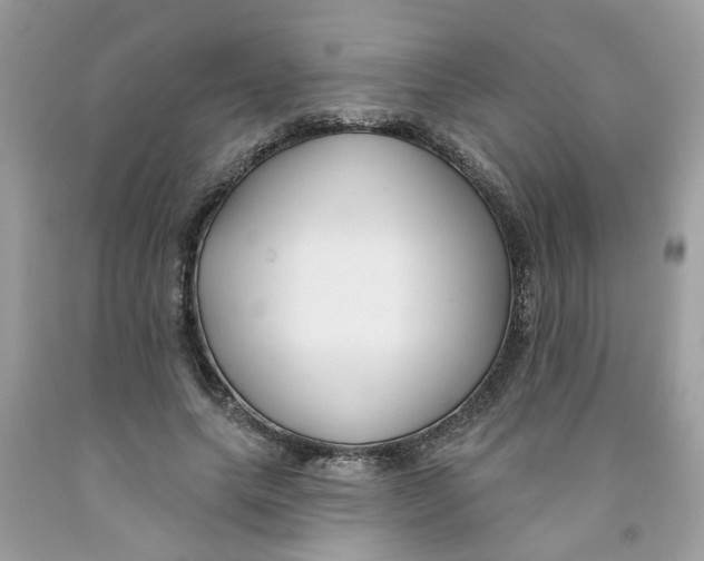 X0000091530639200709141436