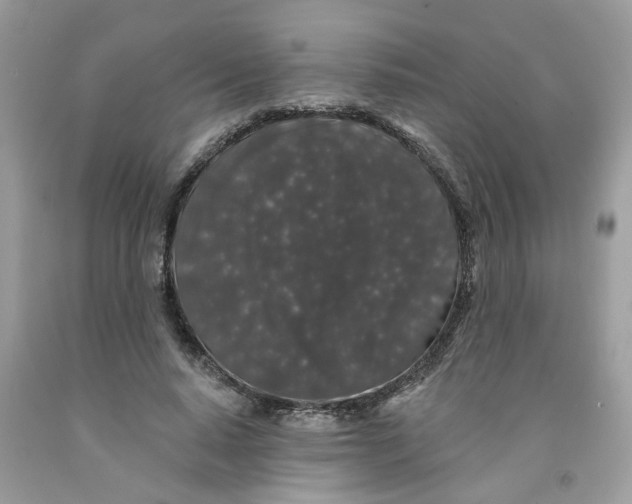 X0000091530640200709141436