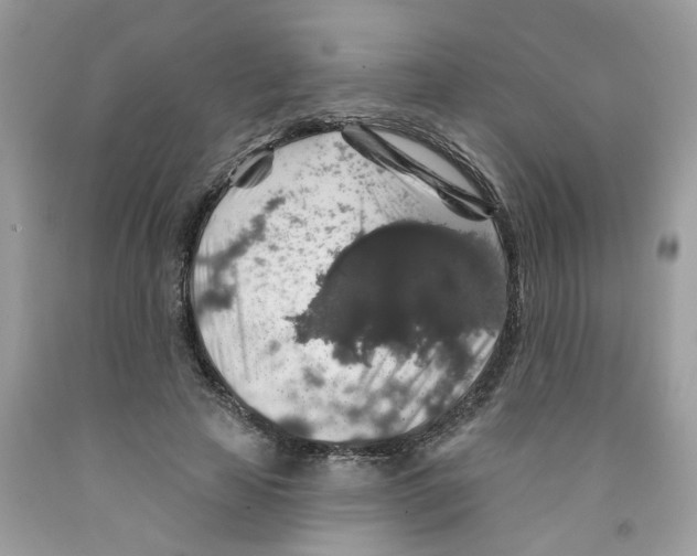 X0000091530641200709141436