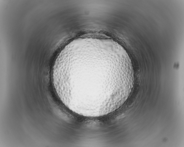 X0000091530642200709141436