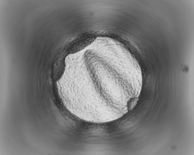 X0000091530643200709141436