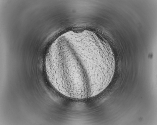 X0000091530644200709141436