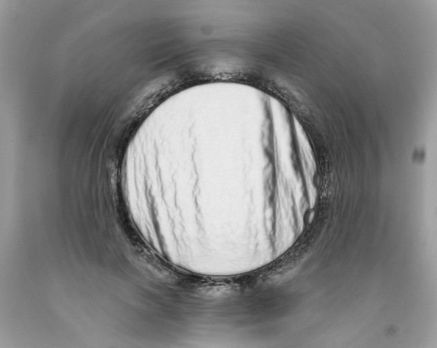 X0000091530646200709141436