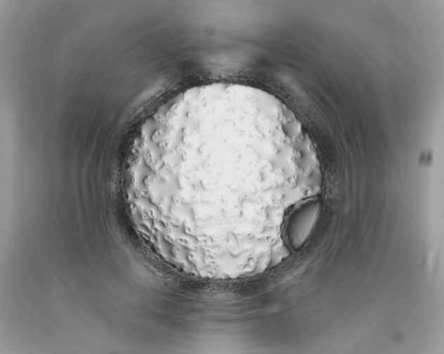 X0000091530648200709141436