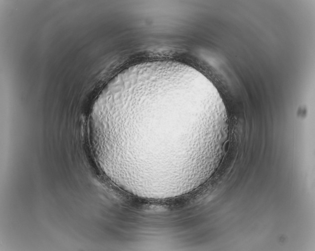 X0000091530649200709141436