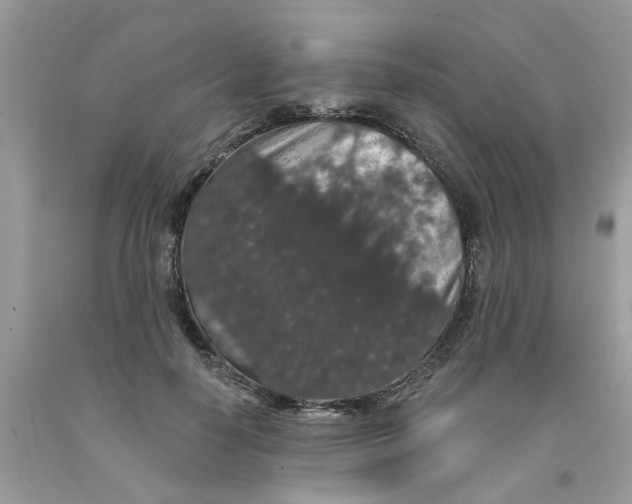 X0000091530650200709141436