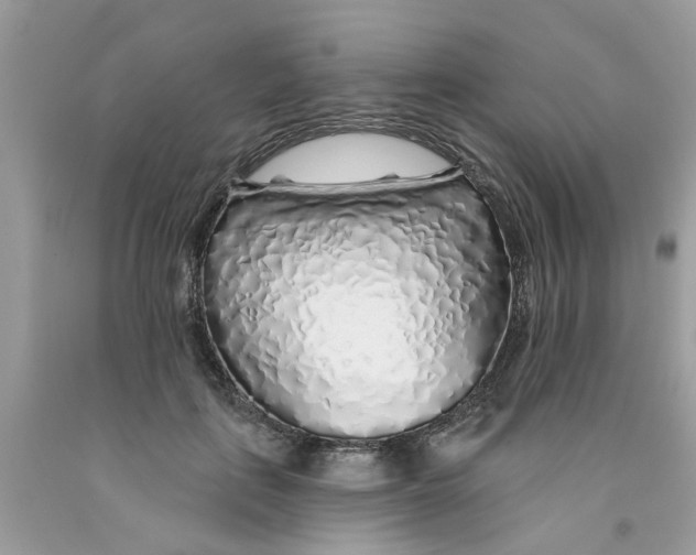X0000091530651200709141436