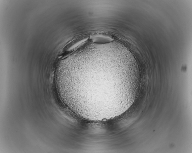X0000091530652200709141436