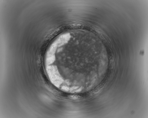 X0000091530654200709141436