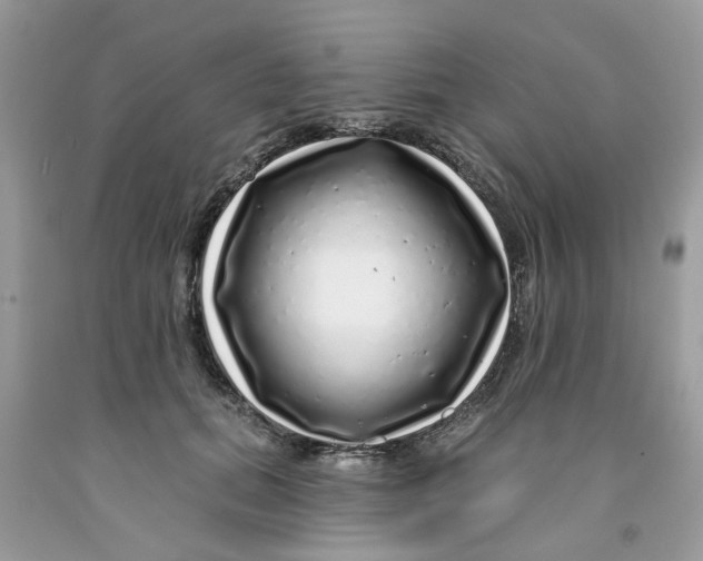 X0000091530655200709141436