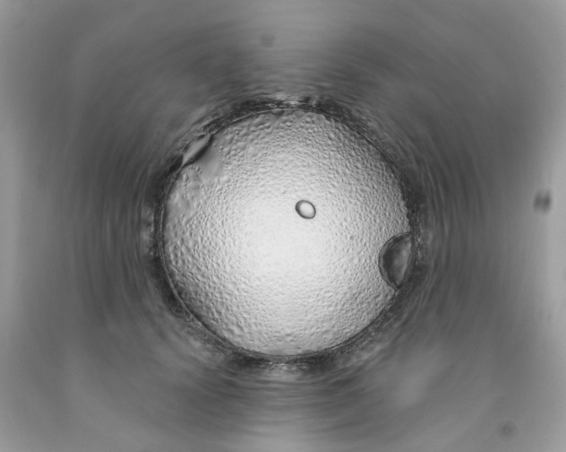 X0000091530656200709141436