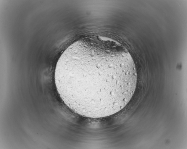 X0000091530658200709141436