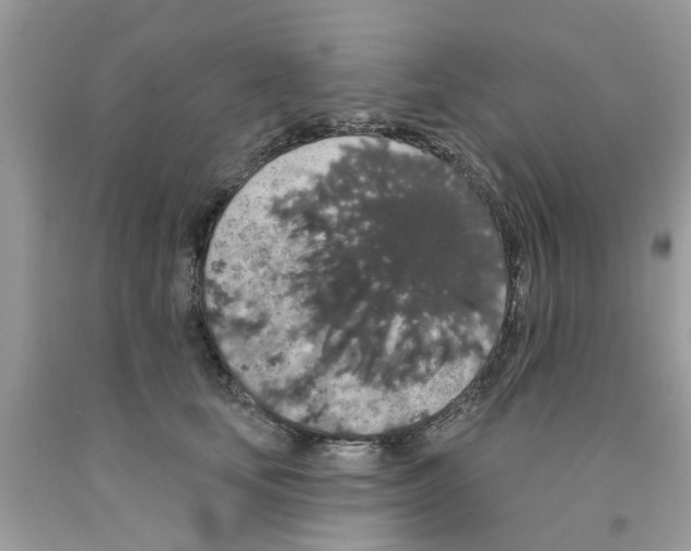 X0000091530659200709141436