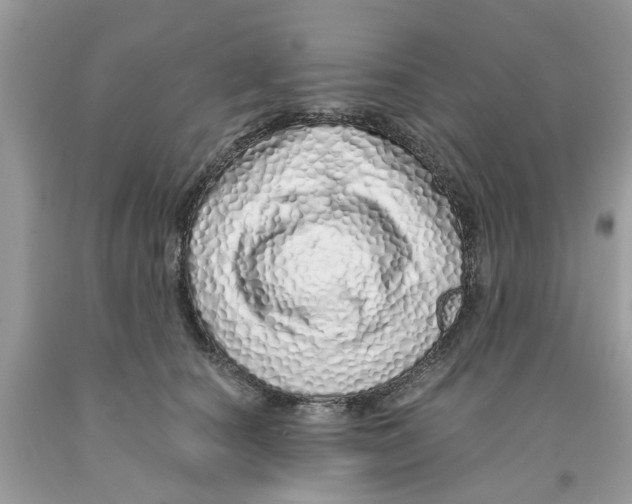 X0000091530660200709141436