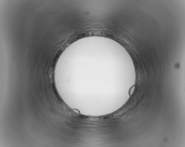 X0000091530661200709141436