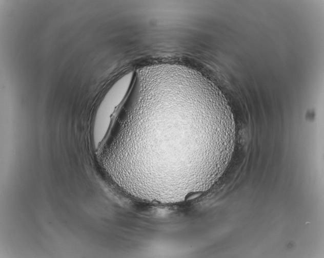 X0000091530662200709141436