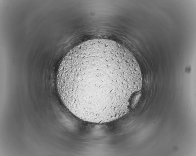 X0000091530663200709141436