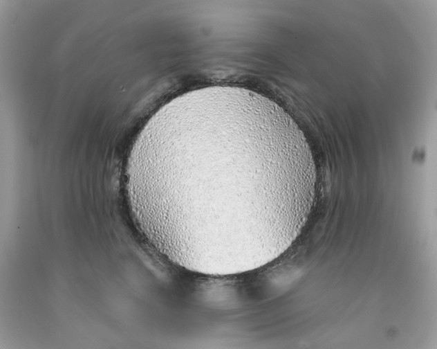 X0000091530664200709141436