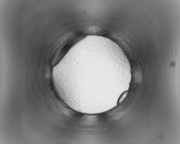 X0000091530665200709141436