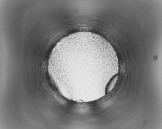 X0000091530666200709141436