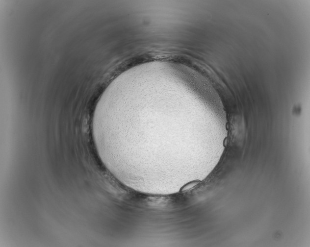 X0000091530667200709141436