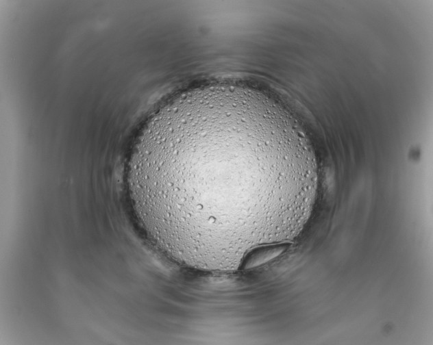 X0000091530668200709141436