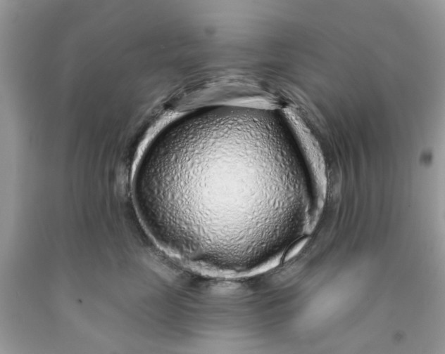 X0000091530669200709141436