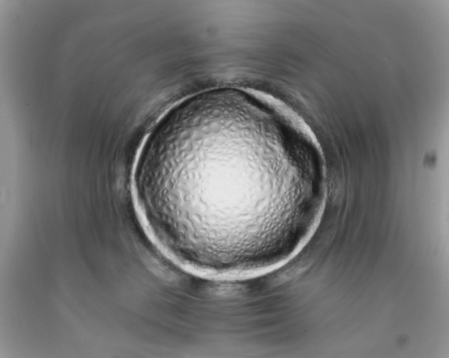 X0000091530670200709141436