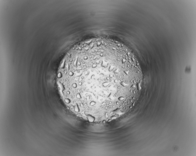 X0000091530671200709141436